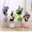 Aromatherapy essential oil perfume household air freshener toilet bedroom fragrance room decoration toilet deodorant perfume